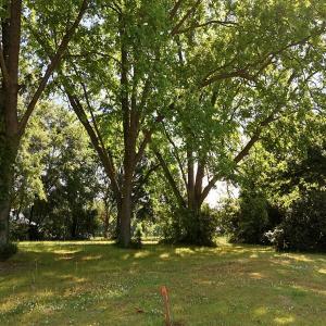Photo #25 of Off of Old Chinquapin Rd., Beulaville, NC 1.0 acres