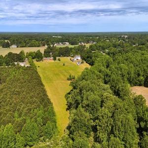 Photo #10 of Off of Old Chinquapin Rd., Beulaville, NC 11.3 acres