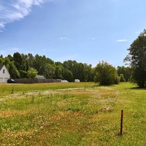 Photo #26 of Off of Old Chinquapin Rd., Beulaville, NC 11.3 acres