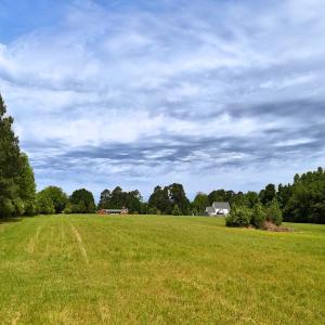 Photo #30 of Off of Old Chinquapin Rd., Beulaville, NC 11.3 acres
