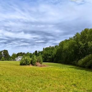 Photo #31 of Off of Old Chinquapin Rd., Beulaville, NC 11.3 acres