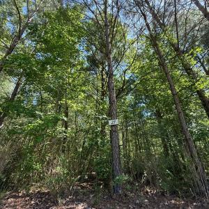 Photo #2 of Lot 27 Sunset Pt, Belhaven, NC 2.0 acres