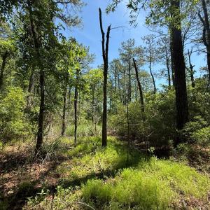 Photo #33 of Lot 27 Sunset Pt, Belhaven, NC 2.0 acres