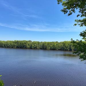 Photo #10 of 206 Rivers Edge Drive, Winton, NC 0.7 acres