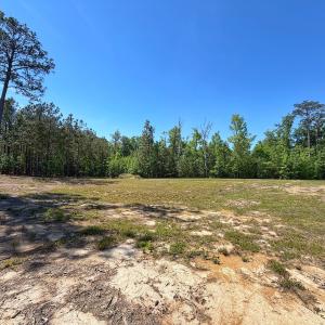 Photo #12 of 206 Rivers Edge Drive, Winton, NC 0.7 acres