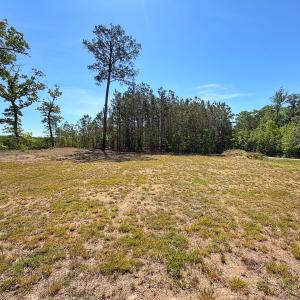 Photo #15 of 206 Rivers Edge Drive, Winton, NC 0.7 acres