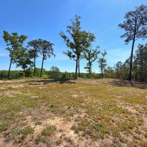 Photo #16 of 206 Rivers Edge Drive, Winton, NC 0.7 acres
