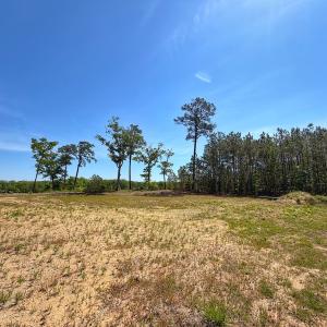 Photo #17 of 206 Rivers Edge Drive, Winton, NC 0.7 acres