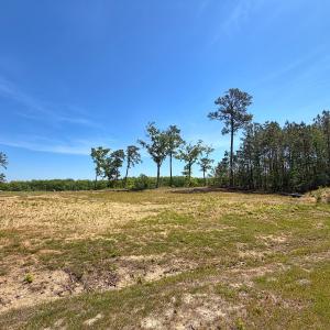 Photo #19 of 206 Rivers Edge Drive, Winton, NC 0.7 acres