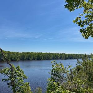 Photo #3 of 206 Rivers Edge Drive, Winton, NC 0.7 acres