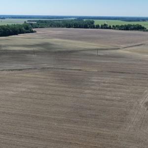 Photo #11 of Off of 1318, Mount Olive, NC 51.0 acres
