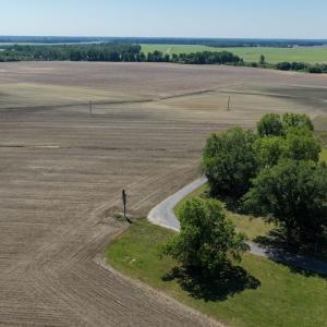 Photo #12 of Off of 1318, Mount Olive, NC 51.0 acres