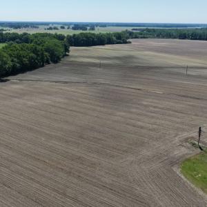 Photo #13 of Off of 1318, Mount Olive, NC 51.0 acres
