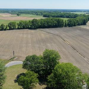 Photo #14 of Off of 1318, Mount Olive, NC 51.0 acres