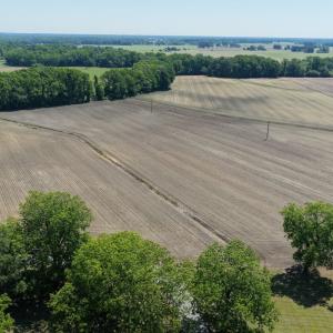 Photo #15 of Off of 1318, Mount Olive, NC 51.0 acres