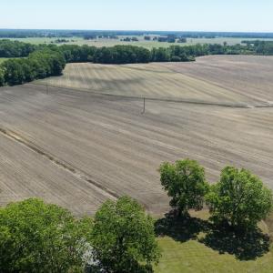 Photo #16 of Off of 1318, Mount Olive, NC 51.0 acres