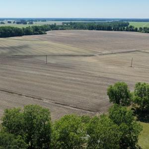 Photo #17 of Off of 1318, Mount Olive, NC 51.0 acres