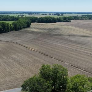 Photo #18 of Off of 1318, Mount Olive, NC 51.0 acres