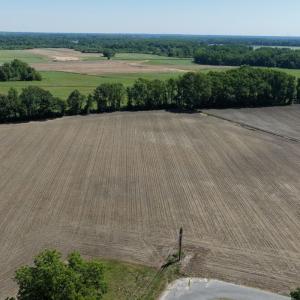 Photo #19 of Off of 1318, Mount Olive, NC 51.0 acres