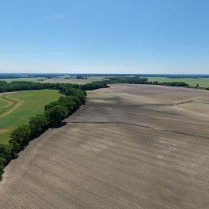 Photo #2 of Off of 1318, Mount Olive, NC 51.0 acres