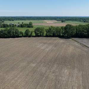 Photo #26 of Off of 1318, Mount Olive, NC 51.0 acres