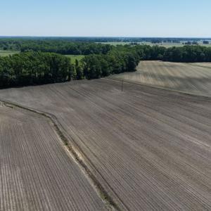 Photo #27 of Off of 1318, Mount Olive, NC 51.0 acres