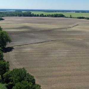 Photo #28 of Off of 1318, Mount Olive, NC 51.0 acres