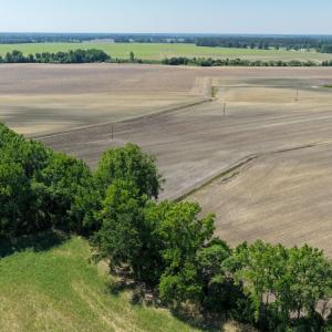 Photo #32 of Off of 1318, Mount Olive, NC 51.0 acres