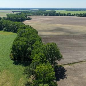 Photo #33 of Off of 1318, Mount Olive, NC 51.0 acres