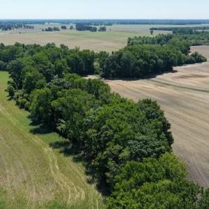 Photo #34 of Off of 1318, Mount Olive, NC 51.0 acres