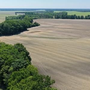 Photo #35 of Off of 1318, Mount Olive, NC 51.0 acres