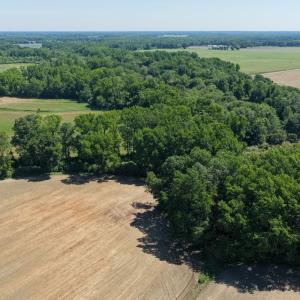 Photo #36 of Off of 1318, Mount Olive, NC 51.0 acres