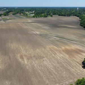 Photo #39 of Off of 1318, Mount Olive, NC 51.0 acres