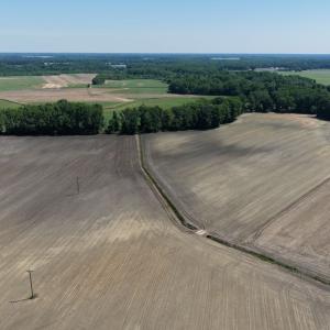 Photo #5 of Off of 1318, Mount Olive, NC 51.0 acres