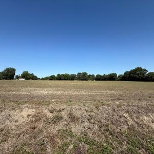 Photo #7 of Off of 1318, Mount Olive, NC 51.0 acres