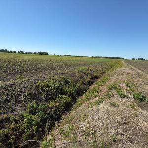 Photo #9 of Off of 1318, Mount Olive, NC 51.0 acres