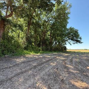 Photo #43 of Off of 1318, Mount Olive, NC 51.0 acres