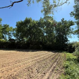 Photo #44 of Off of 1318, Mount Olive, NC 51.0 acres