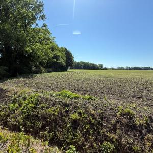 Photo #47 of Off of 1318, Mount Olive, NC 51.0 acres