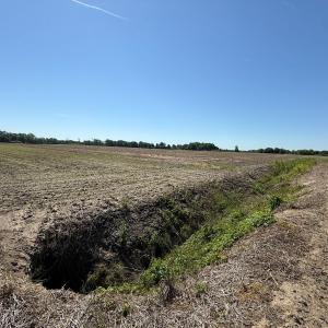 Photo #49 of Off of 1318, Mount Olive, NC 51.0 acres