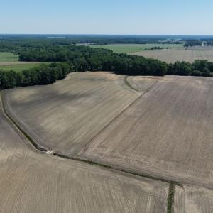 Photo #50 of Off of 1318, Mount Olive, NC 51.0 acres