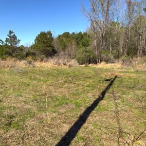 Photo #11 of Off Mt Pleasant Church Road, Manson, NC 12.6 acres