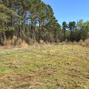 Photo #3 of Off Mt Pleasant Church Road, Manson, NC 12.6 acres