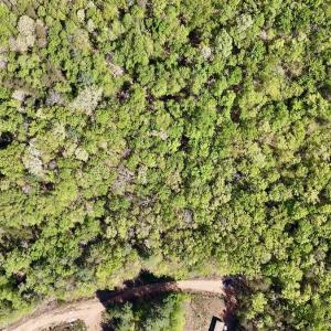 Photo #10 of Off Big Rock Ln, Lowgap, NC 7.0 acres