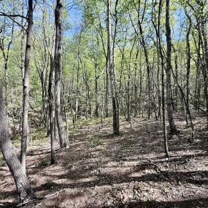 Photo #11 of Off Big Rock Ln, Lowgap, NC 7.0 acres