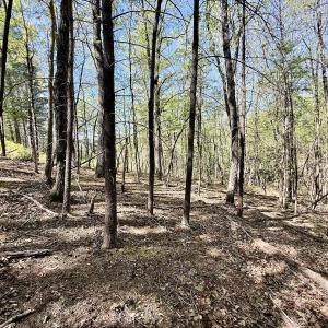 Photo #12 of Off Big Rock Ln, Lowgap, NC 7.0 acres