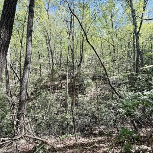 Photo #15 of Off Big Rock Ln, Lowgap, NC 7.0 acres