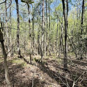 Photo #17 of Off Big Rock Ln, Lowgap, NC 7.0 acres