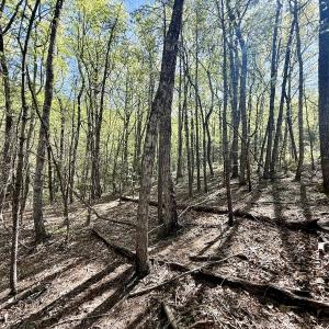 Photo #18 of Off Big Rock Ln, Lowgap, NC 7.0 acres