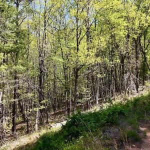 Photo #19 of Off Big Rock Ln, Lowgap, NC 7.0 acres